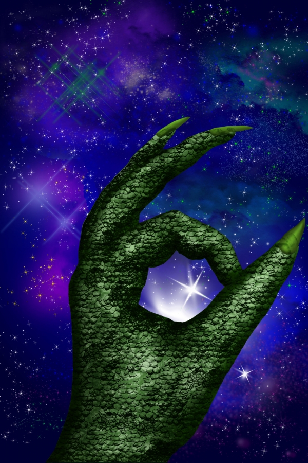 Creation of Sighting: Step 13